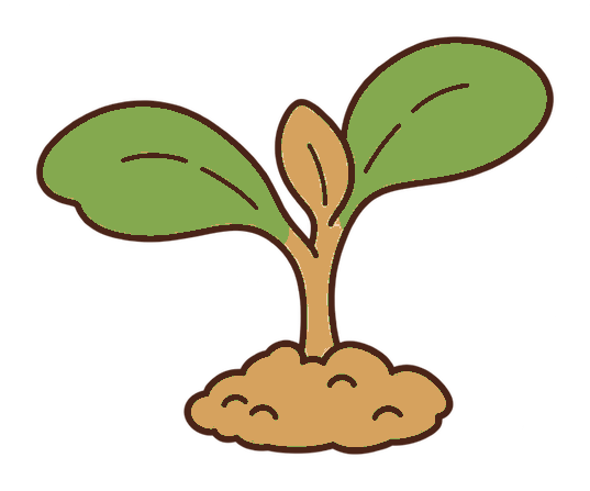 かぶの芽